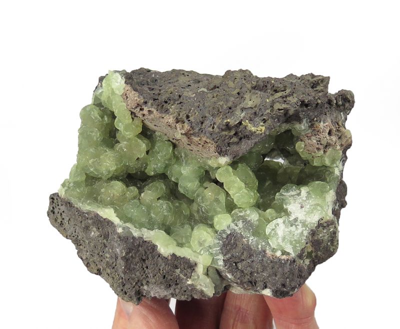 Prehnite (classic Scotland) Robertson Coll. Boyleston Quarry