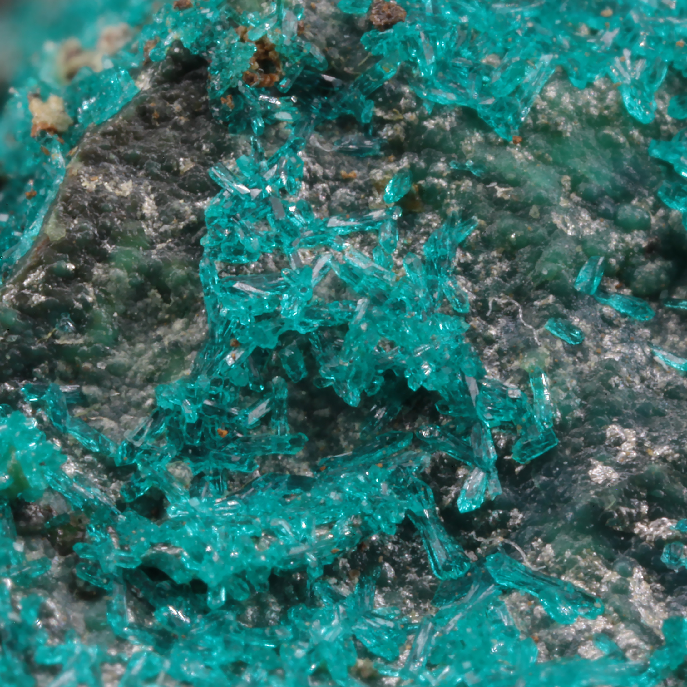 dioptase-blue-bell-mine-zzyzx-soda-mts-silver-lake-dist-san