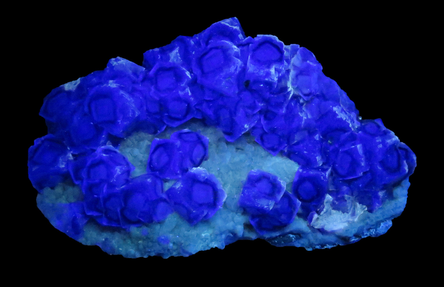 【新品】the fovari THE MINERAL EDITIION Color-zoned Fluorite on Quartz (New Find) | Chifeng City